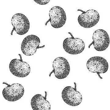Seamless pattern asian longan fruit sketch hand drawn Stock Illustration