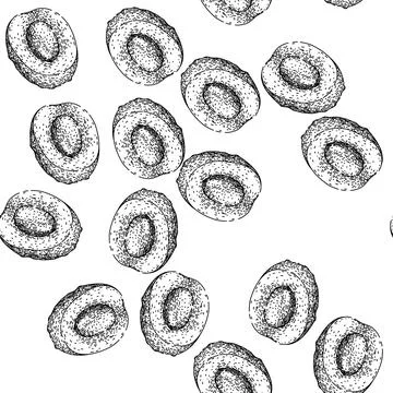 Seamless pattern asian lychees sketch hand drawn Stock Illustration