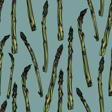 Seamless pattern with asparagus vegetable stem. Stock Illustration