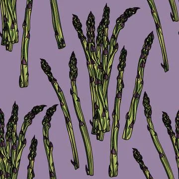 Seamless pattern with asparagus on violet background. Stock Illustration