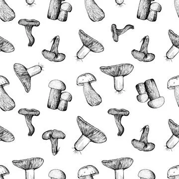 Seamless pattern with assorted mushrooms . Vector illustration Stock Illustration