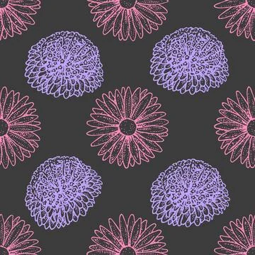 Seamless pattern with asters. Hand drawn illustration. Sketch outline vector. Stock Illustration