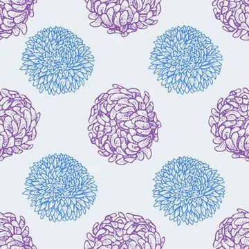 Seamless pattern with asters. Hand drawn illustration. Sketch outline vector. Stock Illustration