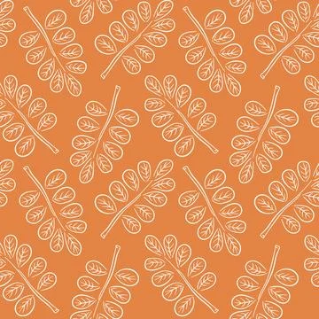 Seamless pattern with autumn acacia leaf in line art style. Ideal for wallpaper Stock Illustration