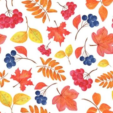 Seamless pattern of  autumn berries and leaves Illustrazione stock