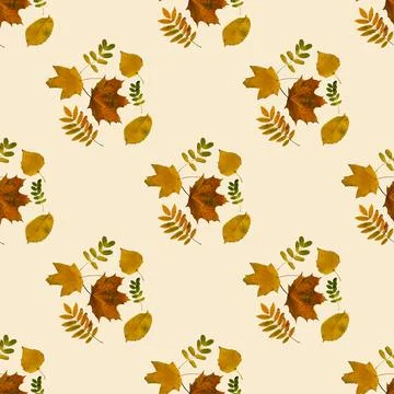 Seamless pattern of autumn colored leaves on a color background Stock Photos