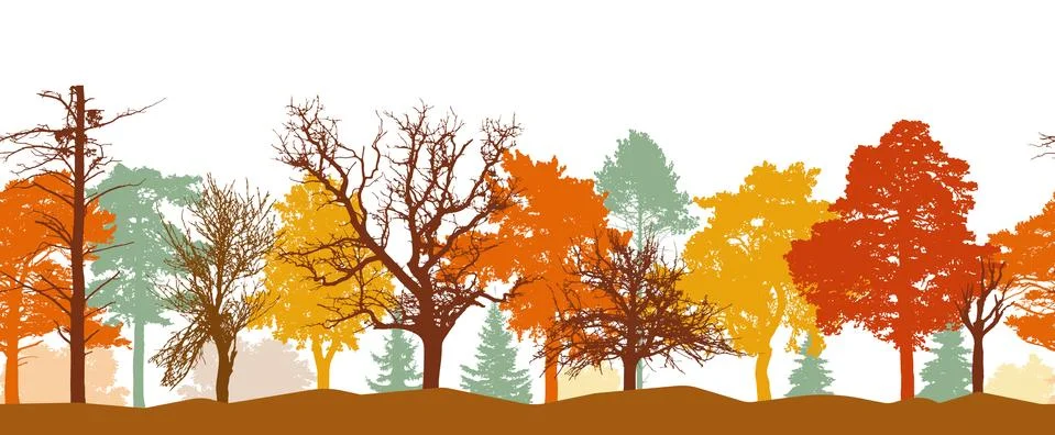 Seamless pattern of autumn forest silhouette. Bright colors of trees. Silhoue Illustrazione stock