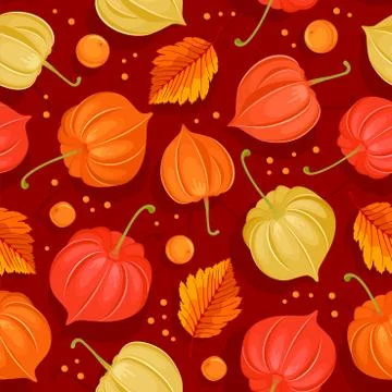 Seamless Pattern With Autumn Leaves And Physalis Stock Illustration