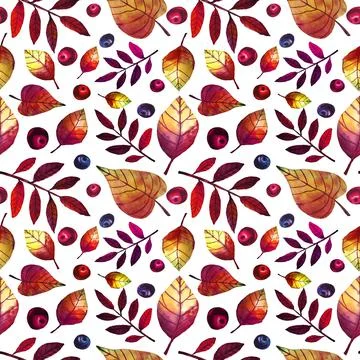 Seamless pattern autumn leaves and berries isolated on white background. Orange Stock Illustration
