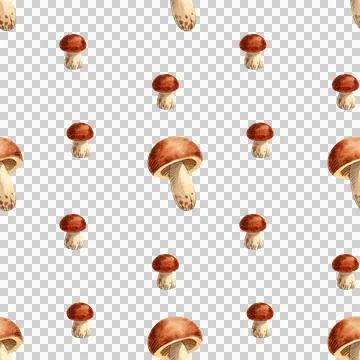 Seamless pattern with autumn leaves, berries and mushroom on a white background. Stock Illustration