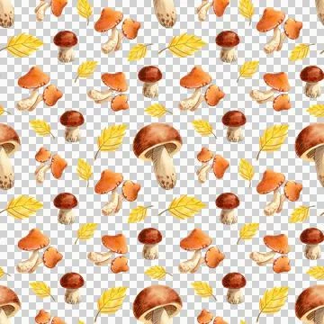 Seamless pattern with autumn leaves, berries and mushroom on a white background. Illustrazione stock
