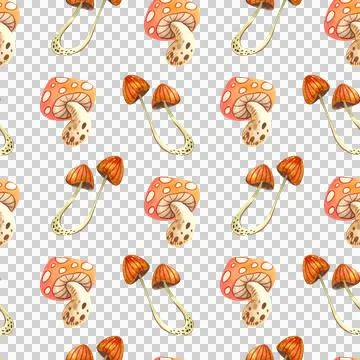 Seamless pattern with autumn leaves, berries and mushroom on a white background. Stock Illustration
