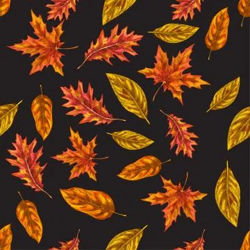 Seamless pattern with autumn leaves on a black background. Vector Stock Illustration