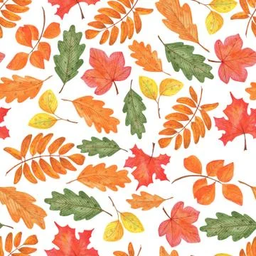 Seamless pattern of  autumn leaves Illustrazione stock