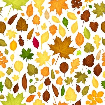 Seamless pattern of autumn leaves Stock Illustration