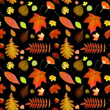 Seamless pattern of autumn leaves isolated on black background Foto stock