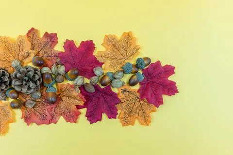 Seamless pattern of autumn leaves, lying on the ground. Autumn leaves concept Stock Photos
