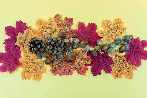 Seamless pattern of autumn leaves, lying on the ground. Autumn leaves concept Stock Photos