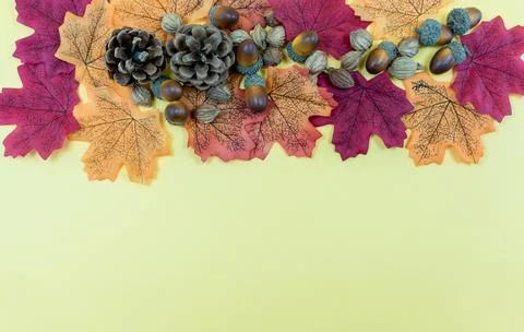 Seamless pattern of autumn leaves, lying on the ground. Autumn leaves concept Stock Photos