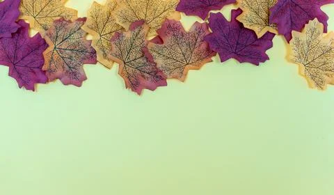 Seamless pattern of autumn leaves, lying on the ground. Autumn leaves concept Stock Photos