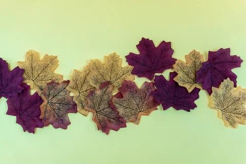 Seamless pattern of autumn leaves, lying on the ground. Autumn leaves concept Stock Photos