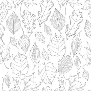 Seamless pattern autumn leaves set in a sketch style. イラスト素材
