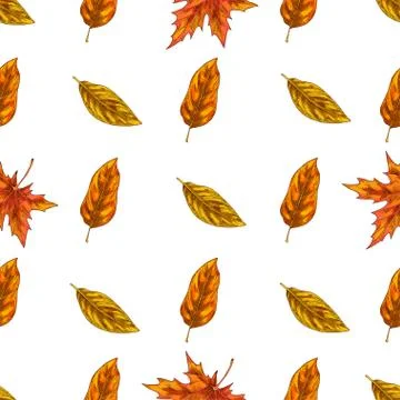 Seamless pattern with autumn leaves. Vector Stock Illustration