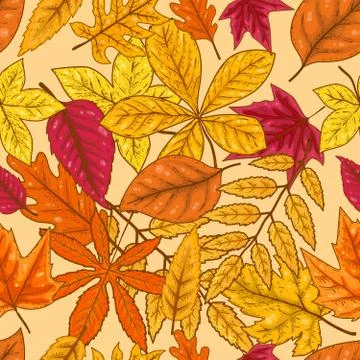 Seamless pattern with autumn leaves. Vector illustration Stock Illustration