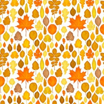 Seamless pattern of autumn leaves vector Stock Illustration