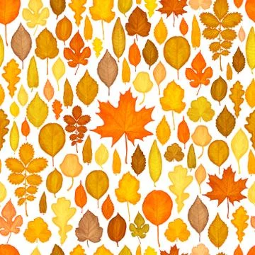 Seamless pattern of autumn leaves vector Stock Illustration