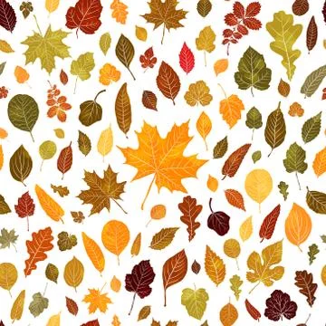Seamless pattern of autumn leaves vector background Illustrazione stock