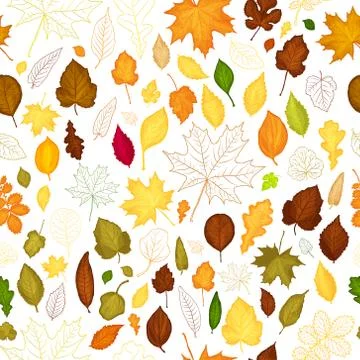 Seamless pattern of autumn leaves vector background Stock Illustration