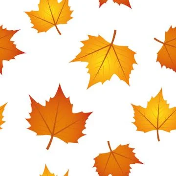 Seamless pattern autumn leaves on white background Illustrazione stock