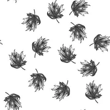 Seamless pattern autumn maple leaf sketch hand drawn 스톡 일러스트