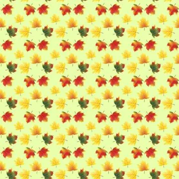 Seamless pattern of autumn maple leaves 스톡 일러스트