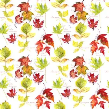 Seamless pattern of autumn maple leaves on a white background, lettering, wat イラスト素材