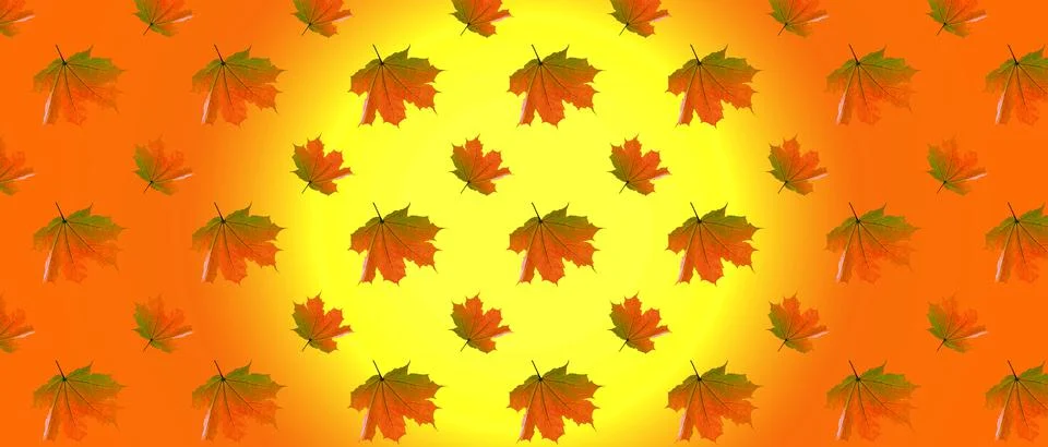 Seamless pattern of autumn maple leaves on an abstract sunny background Stock Illustration