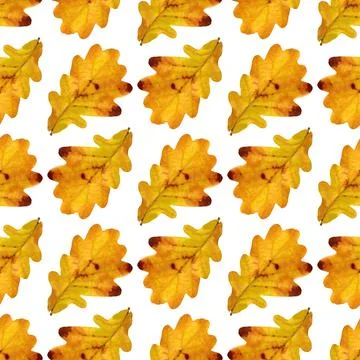 Seamless pattern with autumn oak leaves. Stock Photos