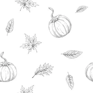 Seamless pattern on autumn theme. Pumpkins and leaves in the contour. Vector  Stock Illustration
