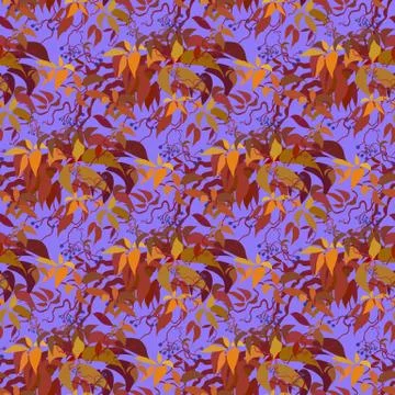 Seamless pattern. Autumn wild grape branches and orange red leaves. Illustrazione stock