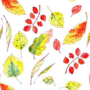 Seamless pattern of autumn yellow, red, orange, green leaves on a white backg イラスト素材