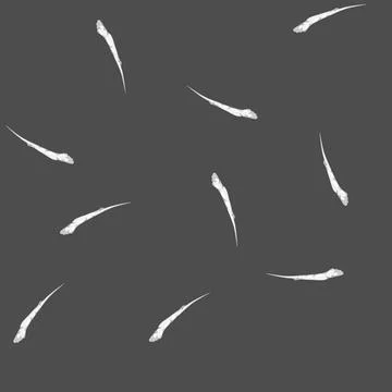 Seamless pattern aviation plane smoke trail cartoon vector イラスト素材