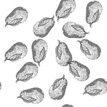 Seamless pattern avocado food sketch hand drawn illustration Stock Illustration