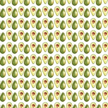 Seamless pattern with avocado isolated on white background. Illustrazione stock
