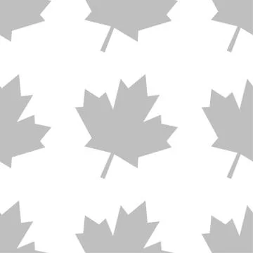 Seamless pattern background with Canadian maple leaf. Template for background Illustrazione stock