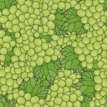 Seamless pattern background with green grapes. Stock Illustration