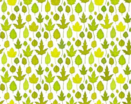 Seamless pattern background with green leaves. Vector illustration Stock Illustration