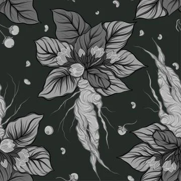 Seamless pattern, background with miraculous, hallucinogenic plants Stock Illustration