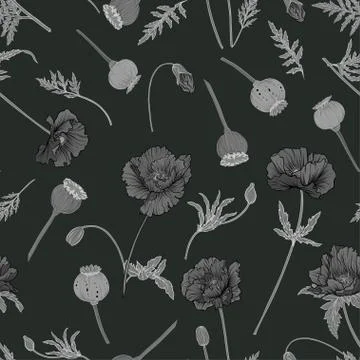 Seamless pattern, background with miraculous, hallucinogenic plants Illustrazione stock