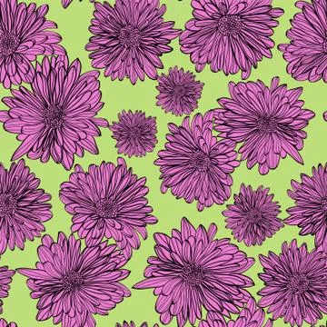 Seamless pattern background with outline hand drawn with chamomiles flowers Stock Illustration